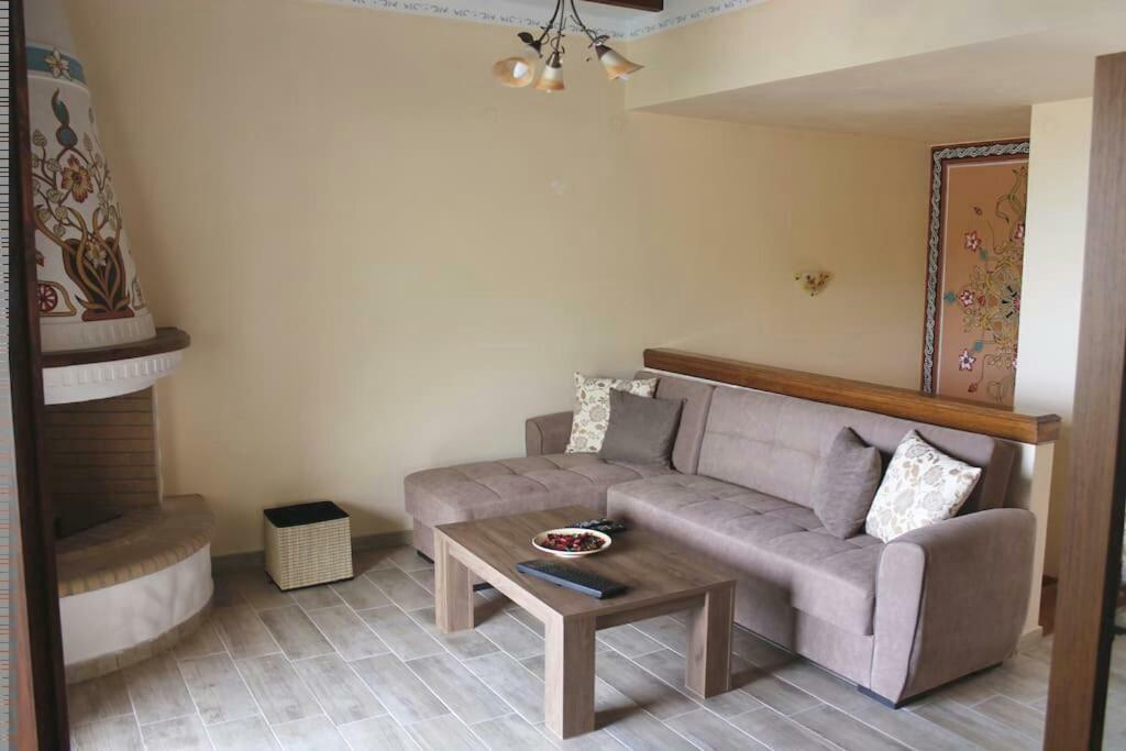 Villa Paradise Samos Town Extérieur photo